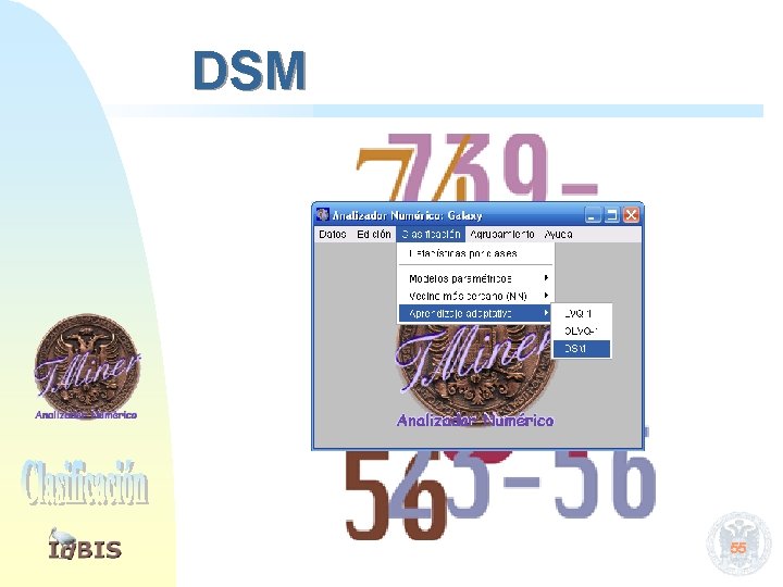 DSM 55 