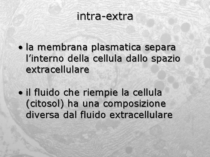 intra-extra • la membrana plasmatica separa l’interno della cellula dallo spazio extracellulare • il