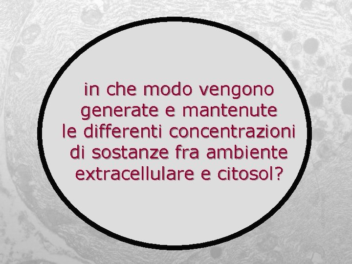 in che modo vengono generate e mantenute le differenti concentrazioni di sostanze fra ambiente