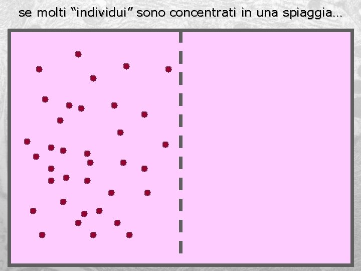 se molti “individui” sono concentrati in una spiaggia… 