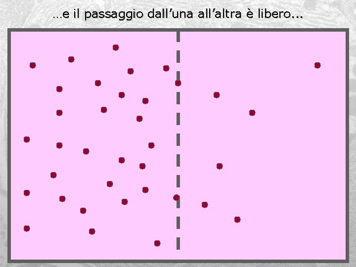 …e il passaggio dall’una all’altra è libero. . . 