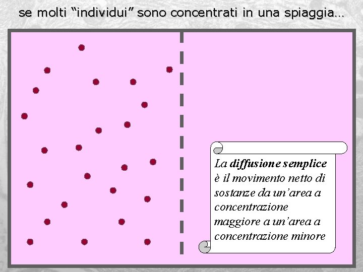 se molti “individui” sono concentrati in una spiaggia… La diffusione semplice è il movimento