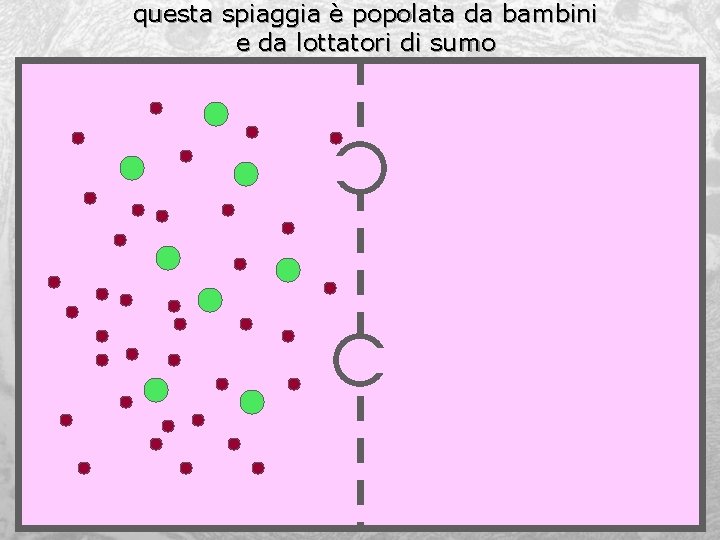 questa spiaggia è popolata da bambini e da lottatori di sumo 