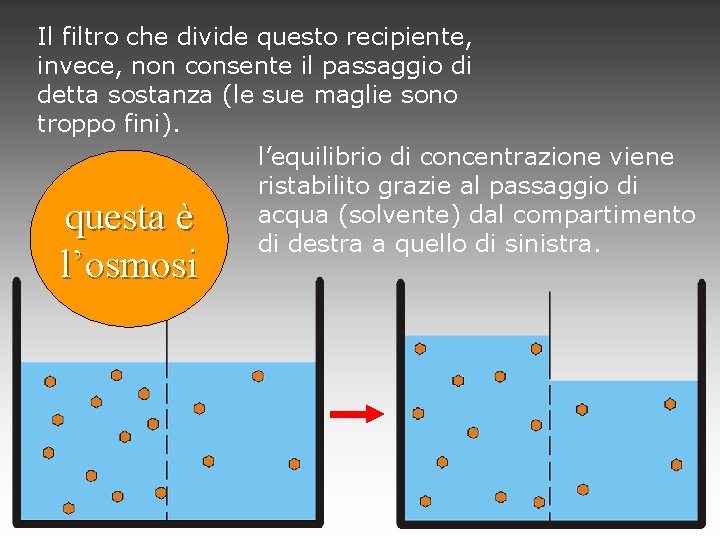 Il filtro che divide questo recipiente, invece, non consente il passaggio di detta sostanza