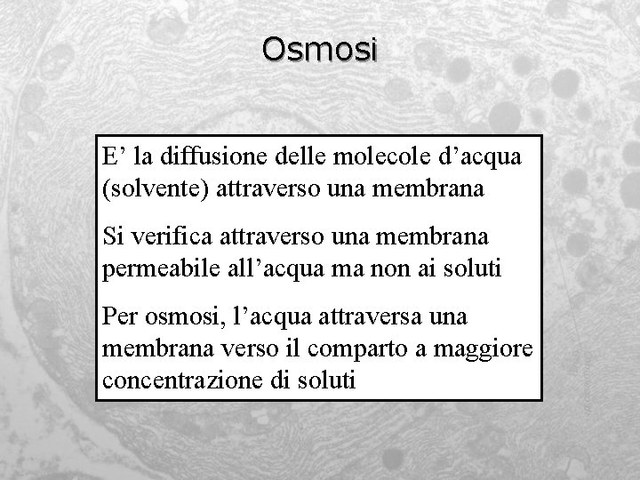 Osmosi E’ la diffusione delle molecole d’acqua (solvente) attraverso una membrana Si verifica attraverso