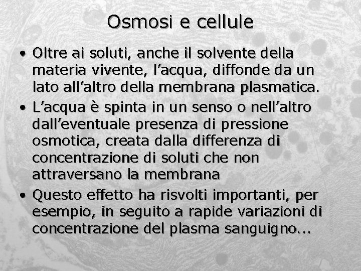 Osmosi e cellule • Oltre ai soluti, anche il solvente della materia vivente, l’acqua,