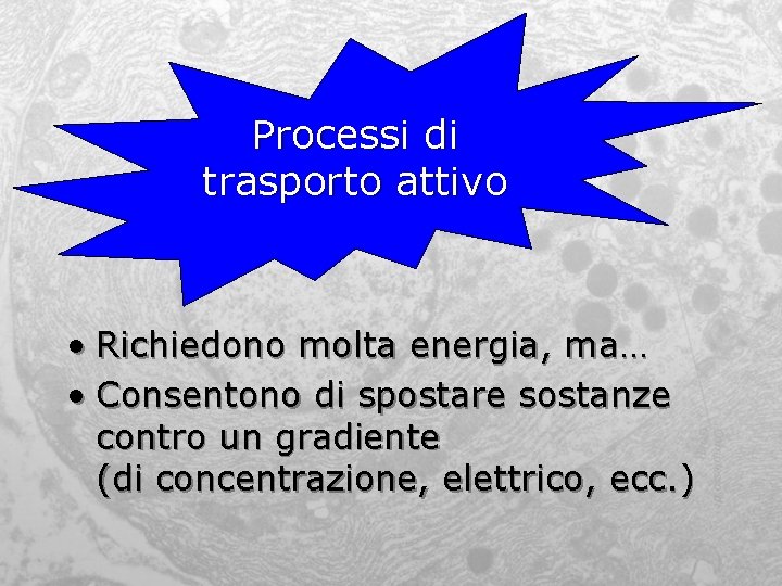 Processi di trasporto attivo • Richiedono molta energia, ma… • Consentono di spostare sostanze