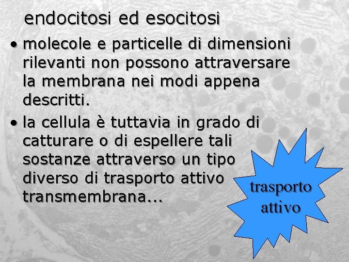 endocitosi ed esocitosi • molecole e particelle di dimensioni rilevanti non possono attraversare la