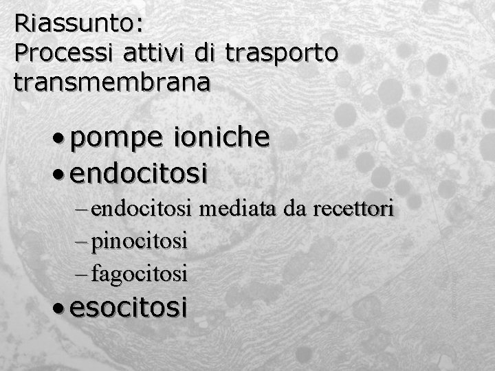 Riassunto: Processi attivi di trasporto transmembrana • pompe ioniche • endocitosi – endocitosi mediata