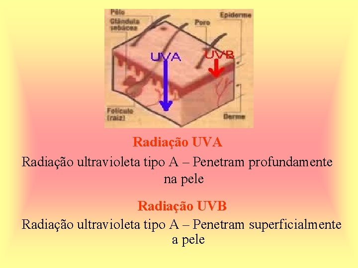 Radiação UVA Radiação ultravioleta tipo A – Penetram profundamente na pele Radiação UVB Radiação