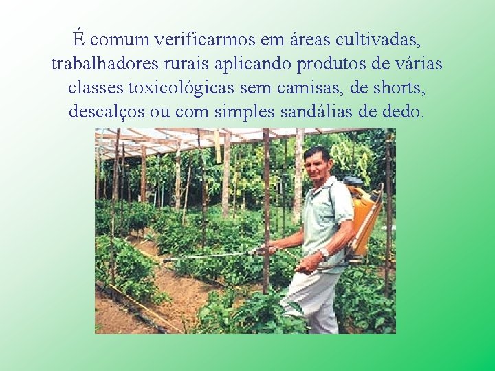 É comum verificarmos em áreas cultivadas, trabalhadores rurais aplicando produtos de várias classes toxicológicas