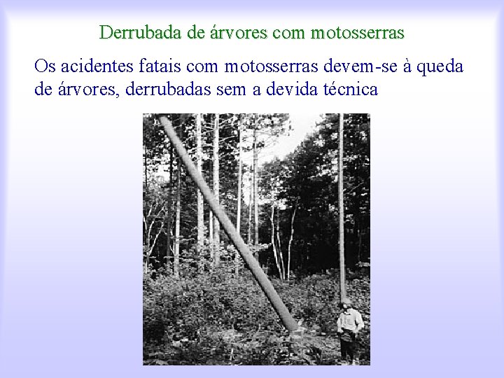Derrubada de árvores com motosserras Os acidentes fatais com motosserras devem-se à queda de