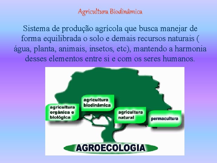 Agricultura Biodinâmica Sistema de produção agrícola que busca manejar de forma equilibrada o solo
