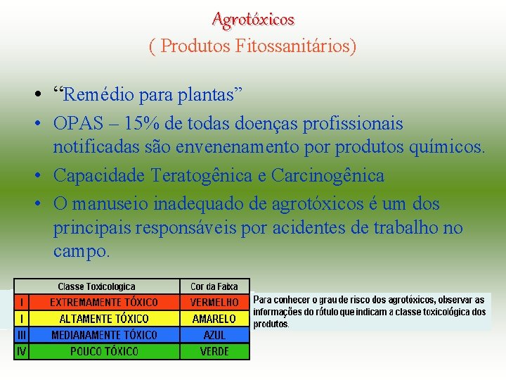 Agrotóxicos ( Produtos Fitossanitários) • “Remédio para plantas” • OPAS – 15% de todas