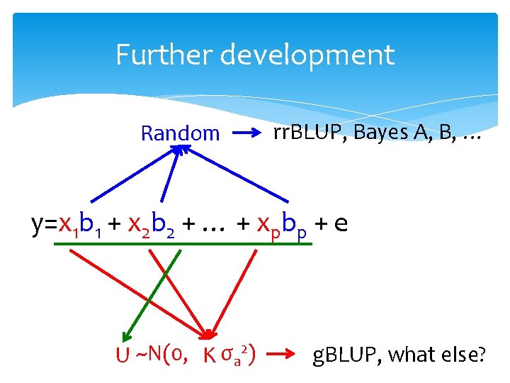 Further development Random rr. BLUP, Bayes A, B, … y=x 1 b 1 +