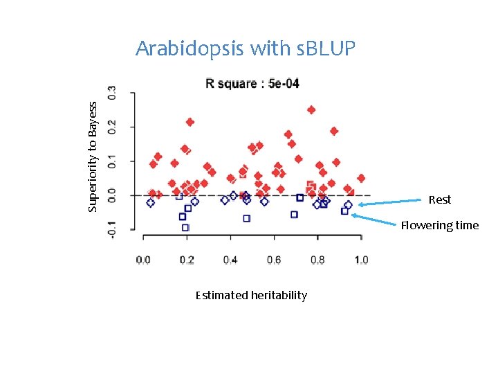 Superiority to Bayess Arabidopsis with s. BLUP Rest Flowering time Estimated heritability 