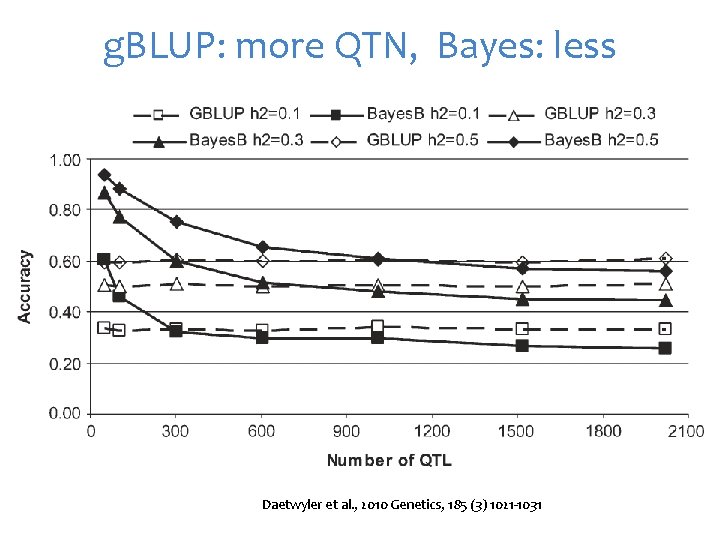 g. BLUP: more QTN, Bayes: less Daetwyler et al. , 2010 Genetics, 185 (3)