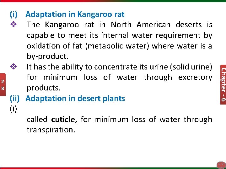 Chapter - 6 2 8 (i) Adaptation in Kangaroo rat v The Kangaroo rat