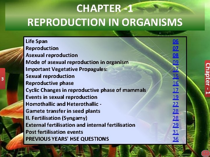 CHAPTER -1 REPRODUCTION IN ORGANISMS 06 07 08 09 12 15 16 17 19
