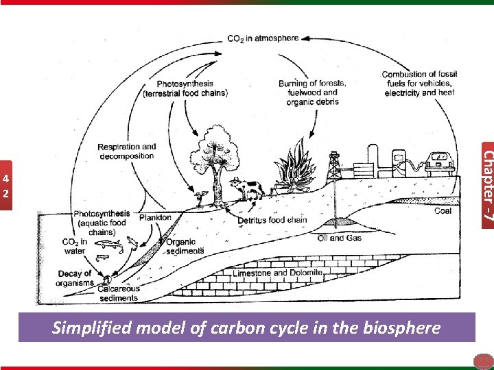 Chapter -7 4 2 Simplified model of carbon cycle in the biosphere 