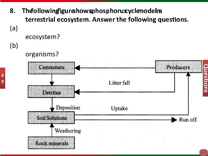 8. Thefollowingfigureshowsaphosphoruscyclemodelina terrestrial ecosystem. Answer the following questions. (a) ecosystem? (b) organisms? Questions 4