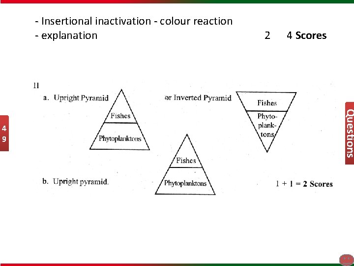 - Insertional inactivation - colour reaction - explanation 4 Scores Questions 4 9 2
