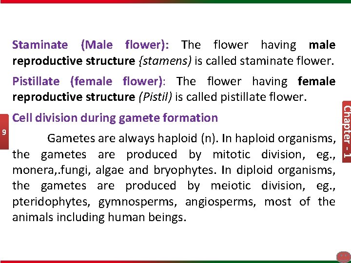 Staminate (Male flower): The flower having male reproductive structure {stamens) is called staminate flower.