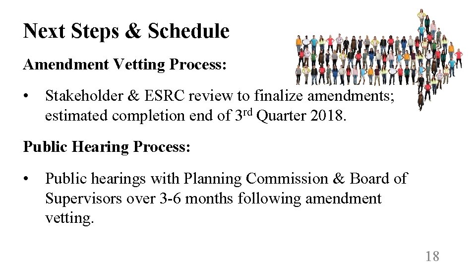 Next Steps & Schedule Amendment Vetting Process: • Stakeholder & ESRC review to finalize