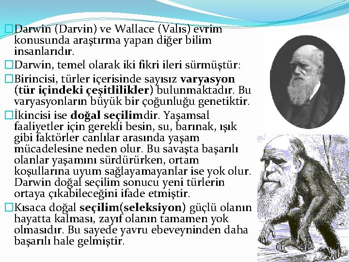 �Darwin (Darvin) ve Wallace (Valıs) evrim konusunda araştırma yapan diğer bilim insanlarıdır. �Darwin, temel