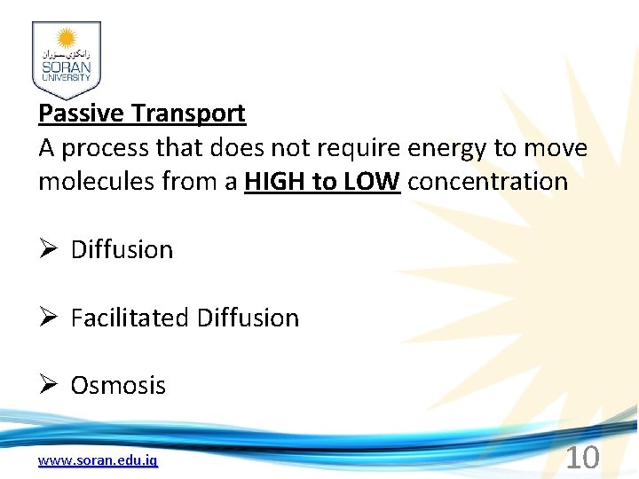 Passive Transport A process that does not require energy to move molecules from a