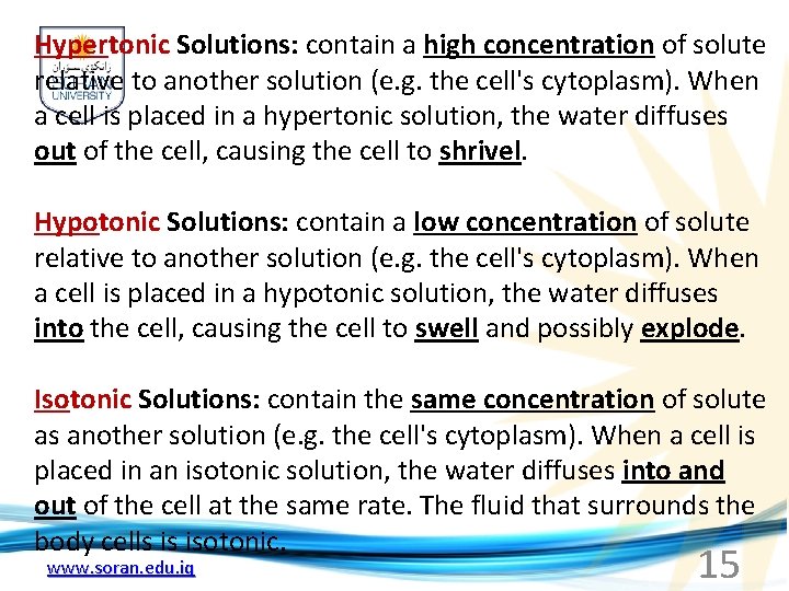 Hypertonic Solutions: contain a high concentration of solute relative to another solution (e. g.