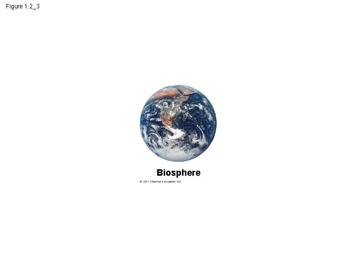 Figure 1. 2_3 Biosphere 