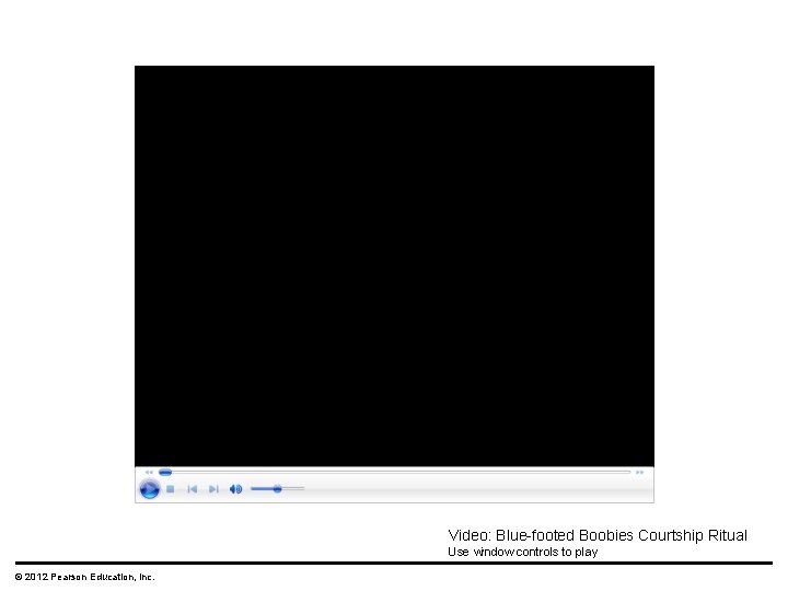 Video: Blue-footed Boobies Courtship Ritual Use window controls to play © 2012 Pearson Education,