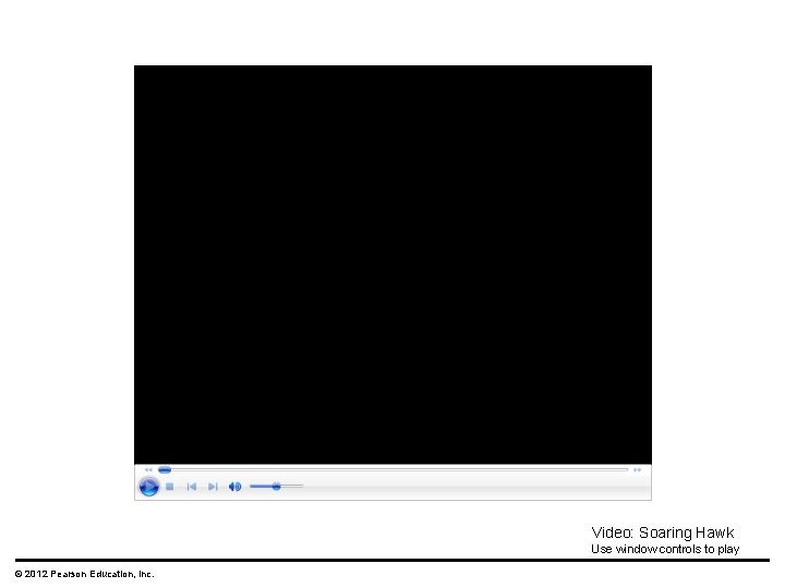 Video: Soaring Hawk Use window controls to play © 2012 Pearson Education, Inc. 