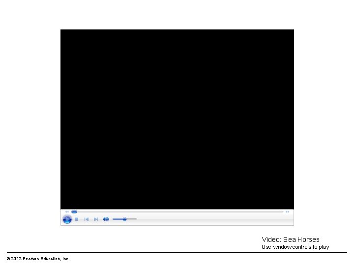 Video: Sea Horses Use window controls to play © 2012 Pearson Education, Inc. 