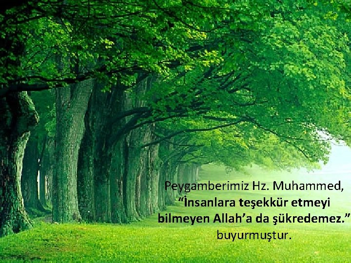 Peygamberimiz Hz. Muhammed, “İnsanlara teşekkür etmeyi bilmeyen Allah’a da şükredemez. ” buyurmuştur. 