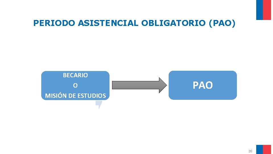 PERIODO ASISTENCIAL OBLIGATORIO (PAO) BECARIO O MISIÓN DE ESTUDIOS PAO 20 