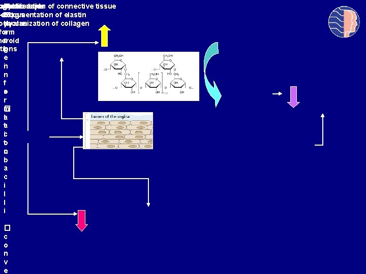 D G Mucus layer of connective tissue nal p. H acid Lactic ts from: