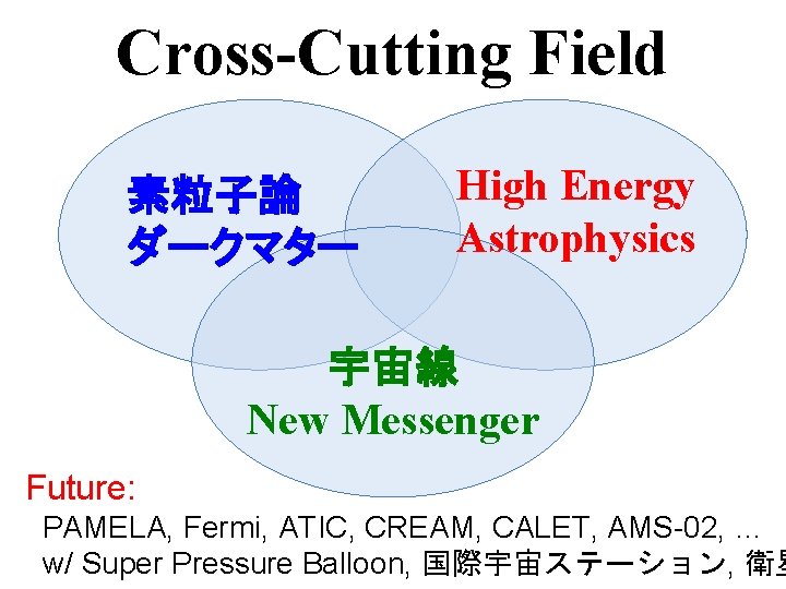 Cross-Cutting Field 素粒子論 ダークマター High Energy Astrophysics 宇宙線 New Messenger Future: PAMELA, Fermi, ATIC,