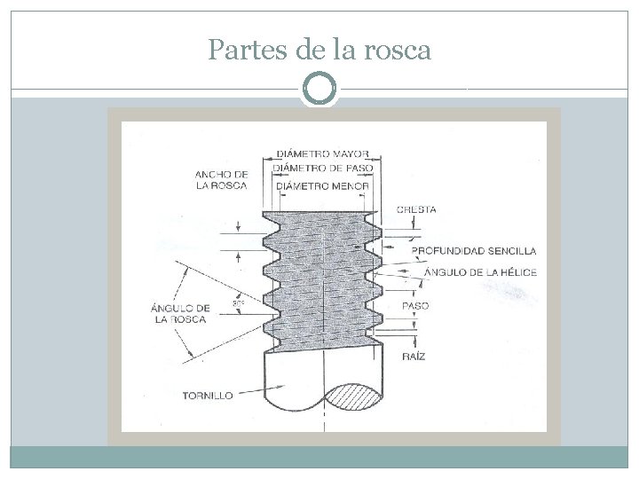 Partes de la rosca 