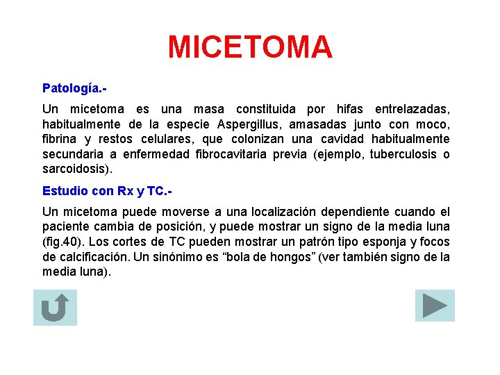 MICETOMA Patología. Un micetoma es una masa constituida por hifas entrelazadas, habitualmente de la