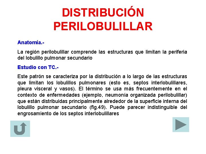 DISTRIBUCIÓN PERILOBULILLAR Anatomía. La región perilobulillar comprende las estructuras que limitan la periferia del