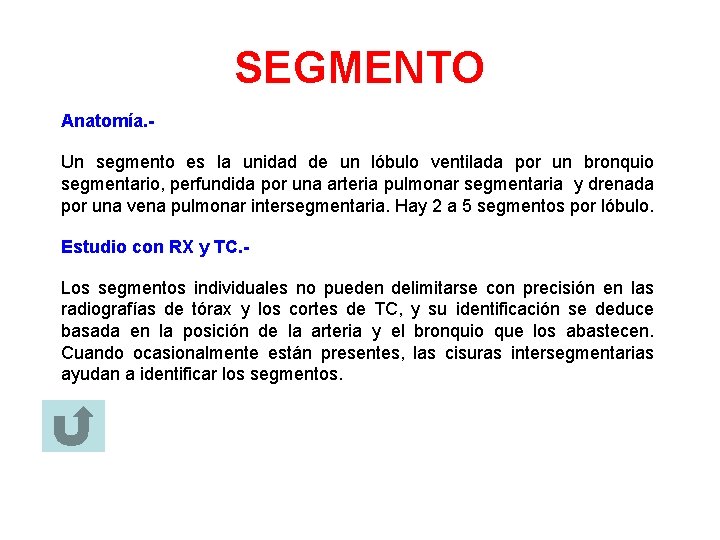 SEGMENTO Anatomía. Un segmento es la unidad de un lóbulo ventilada por un bronquio