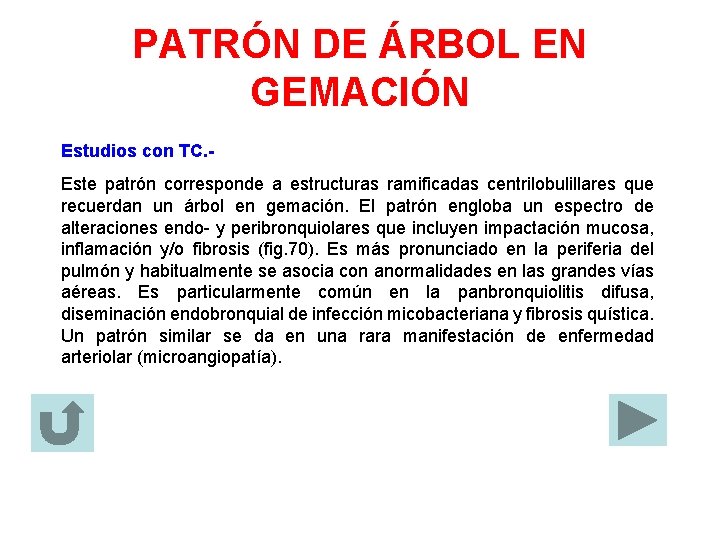 PATRÓN DE ÁRBOL EN GEMACIÓN Estudios con TC. Este patrón corresponde a estructuras ramificadas