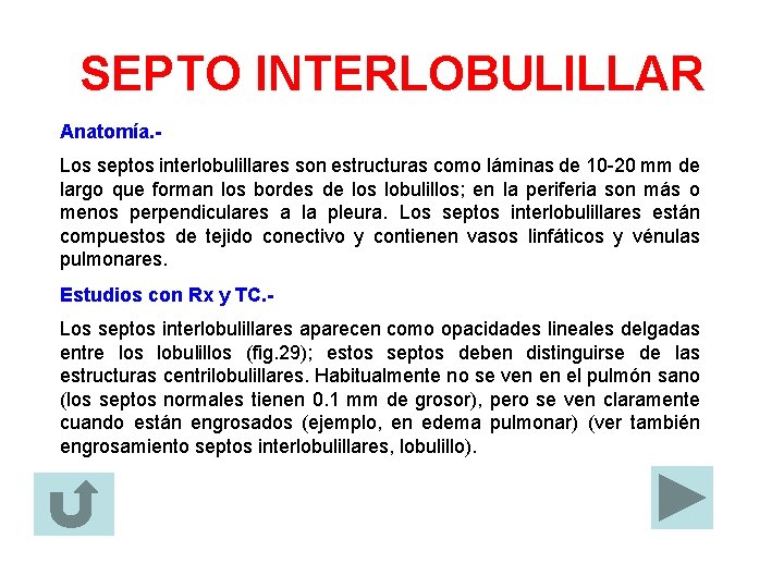 SEPTO INTERLOBULILLAR Anatomía. Los septos interlobulillares son estructuras como láminas de 10 -20 mm