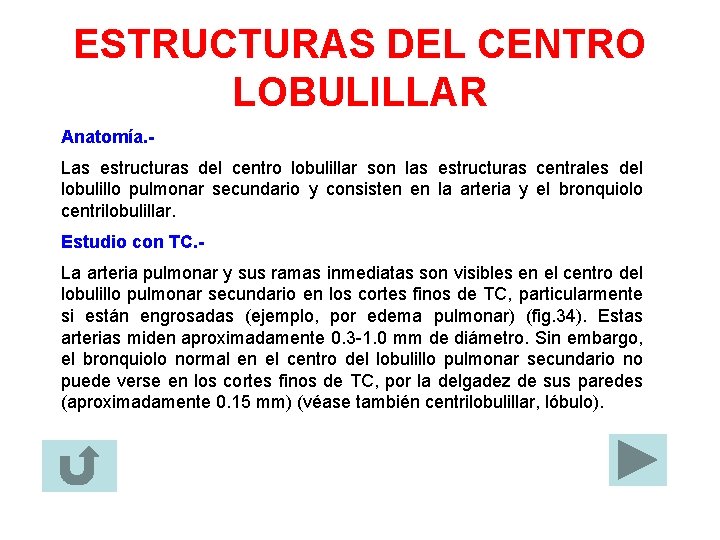 ESTRUCTURAS DEL CENTRO LOBULILLAR Anatomía. Las estructuras del centro lobulillar son las estructuras centrales