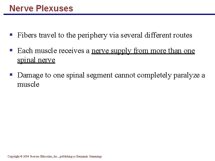 Nerve Plexuses § Fibers travel to the periphery via several different routes § Each