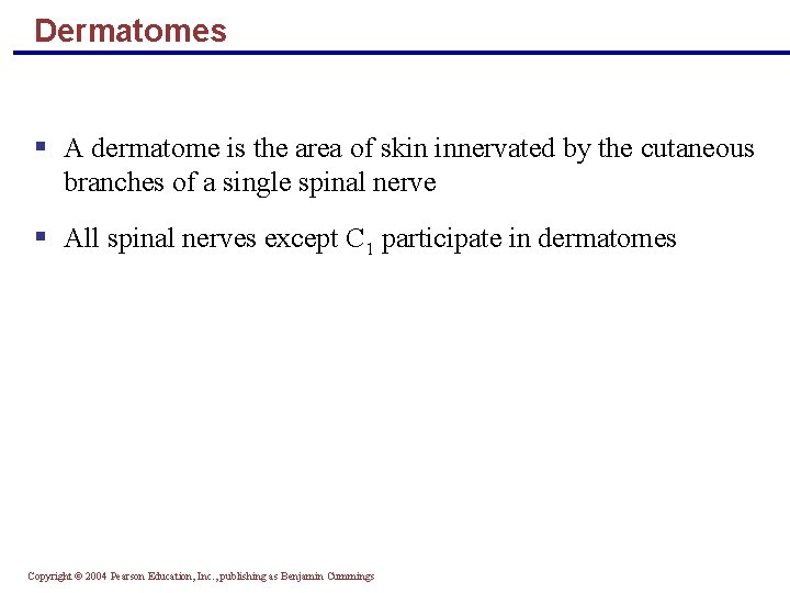 Dermatomes § A dermatome is the area of skin innervated by the cutaneous branches