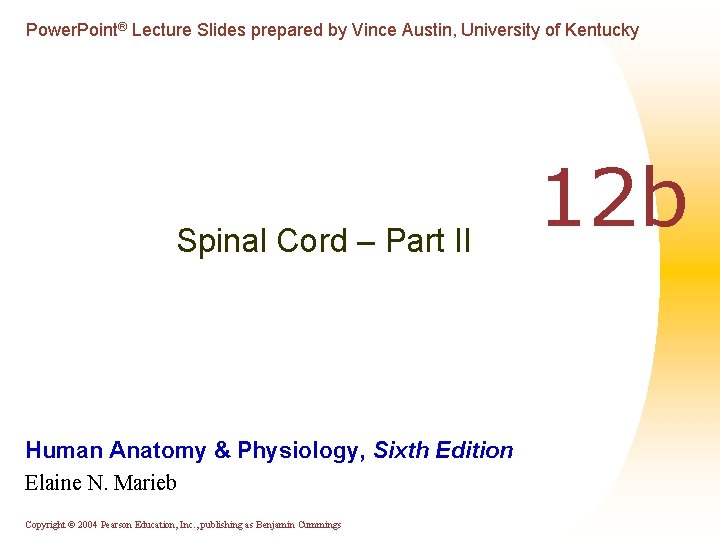 Power. Point® Lecture Slides prepared by Vince Austin, University of Kentucky Spinal Cord –