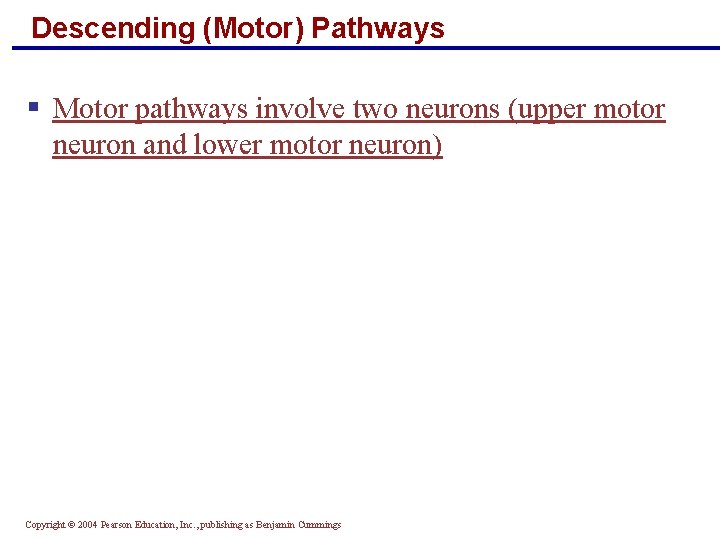 Descending (Motor) Pathways § Motor pathways involve two neurons (upper motor neuron and lower